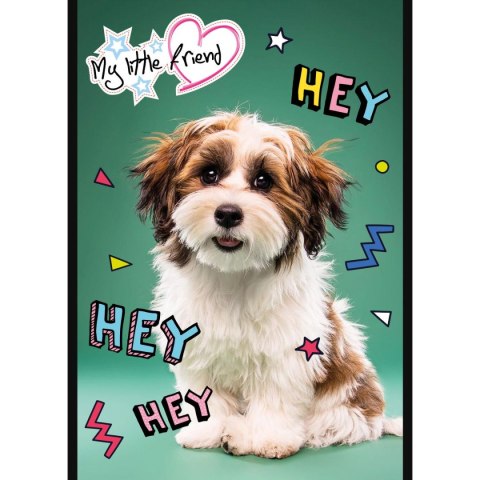 Notes (notatnik) MY LITTLE FRIEND A6 50k. Unipap