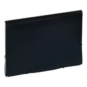 Teczka z przegródkami A4 kolor: mix 12 przegródek Eagle (9112C)