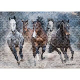 Puzzle Wild Horses PUZZLE 1000 Interdruk