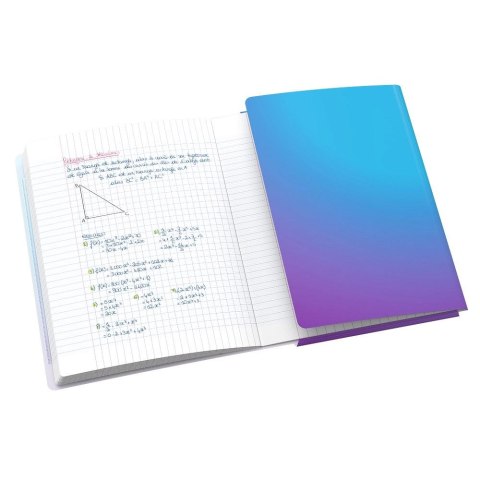 Zeszyt EASYBOOK FUSION B5 60k. 90g krata Oxford (400208074)
