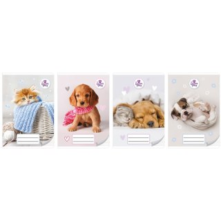 Zeszyt THE SWEET PETS Beniamin
