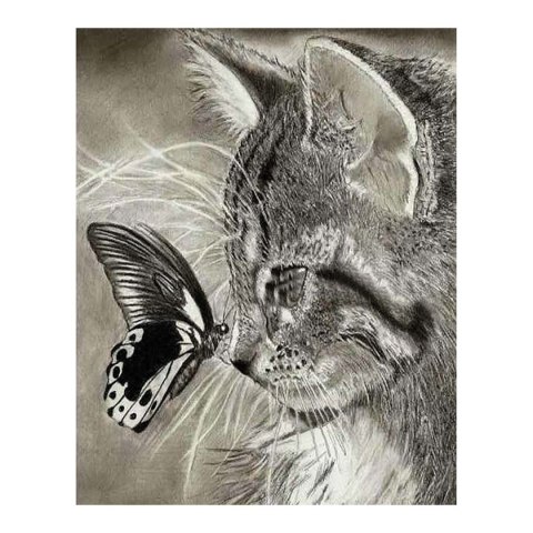Zestaw kreatywny Diamentowa mozaika 30x40cm Kot z motylkiem Flamingo Line (1(10))