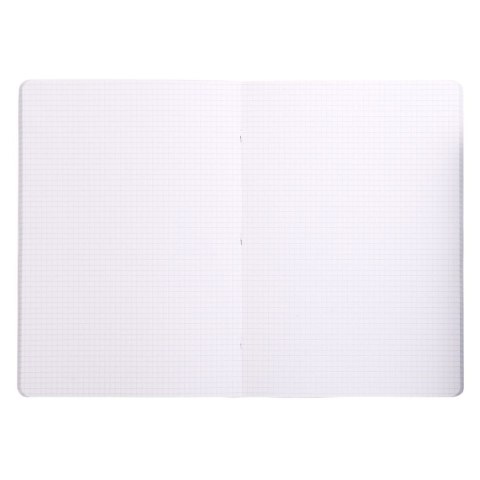 Zeszyt 303742C CF 48k. 90g kratka [mm:] 170x220 Clairefontaine