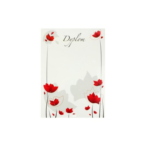 Dyplom A4 maki 200g Rexus (604105)