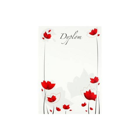 Dyplom A4 maki 200g Rexus (604105)