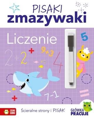 Książka dla dzieci Pisaki zmazywaki. Szlaczki Zielona Sowa
