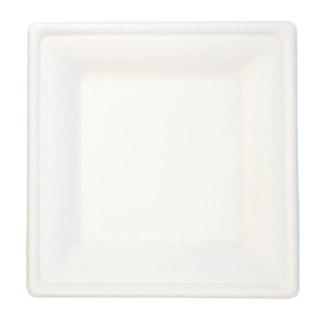 Talerz jednorazowy trzcina cukrowa 20 x 20 cm papier śr. 20mm 6 szt Arpex (KG7993)