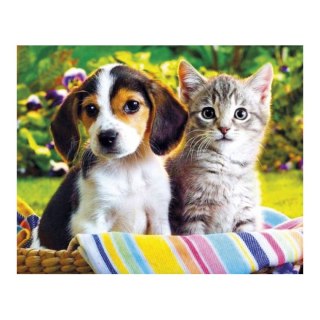 Zestaw kreatywny Diamentowa mozaika 30x40cm Pies i kot 1 Flamingo Line (1(89))