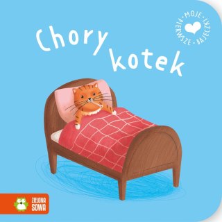 Książeczka edukacyjna Moje pierwsze bajeczki. Chory kotek Zielona Sowa
