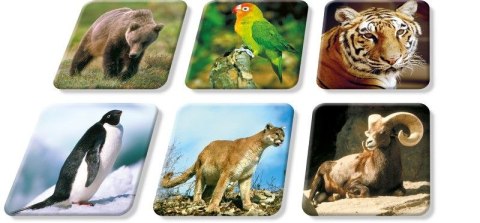 Układanka Zoo Adamigo