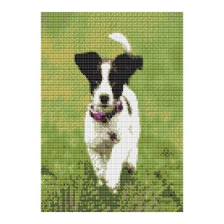 Zestaw kreatywny Diamentowa mozaika 30x40cm Pies jack russell terrier Flamingo Line (1(7))