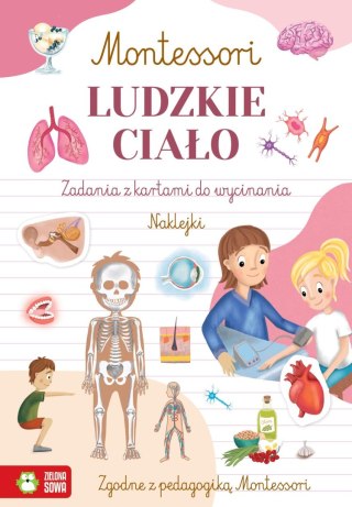 Książka dla dzieci Montessori. Ludzkie ciało Zielona Sowa