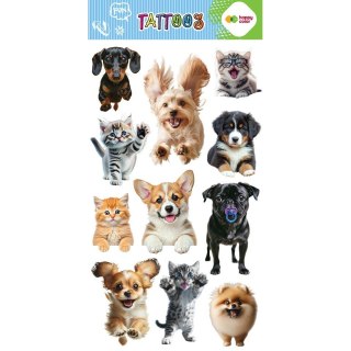 Tatuaż zmywalny BEST FRIENDS cm Happy Color (HA 4261 1020-KA05)
