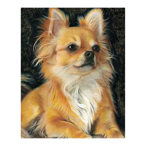 Zestaw kreatywny Diamentowa mozaika 30x40cm Pies chihuahua Flamingo Line (1(5))