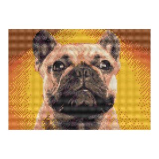 Zestaw kreatywny Diamentowa mozaika 30x40cm Pies buldog Flamingo Line (1(66))