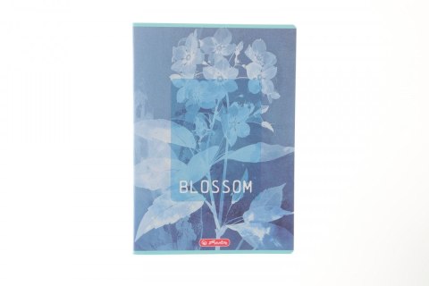 Zeszyt Blossom A4 60k. 70g kratka Herlitz (400206432)