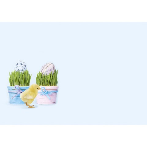 Koperta kolorowe B6 mix Pol-mak (KB6_WL) 100 sztuk