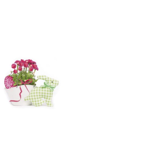 Koperta kolorowe B6 mix Pol-mak (KB6_WL) 100 sztuk