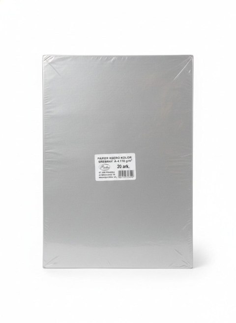 Papier kolorowy A4 srebrny 20k. 110g Protos