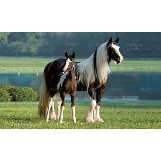 Kalendarz ścienny KONIKI TRÓJDZIELNY 320mm x 680mm Lucrum (KT13)