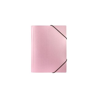 Teczka plastikowa STARDUST PINK Biurfol (TGSD-A4-03)