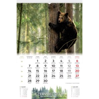 Kalendarz ścienny DZIKA PRZYRODA 13-planszowe A3+ 320mm x 470mm Lucrum (RW07)