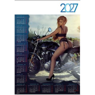 Kalendarz ścienny PATI plakatowy 607mm x 880mm Lucrum (PL20)