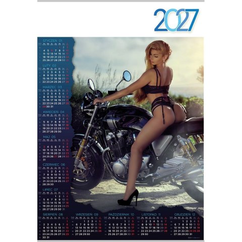 Kalendarz ścienny PATI plakatowy 607mm x 880mm Lucrum (PL20)