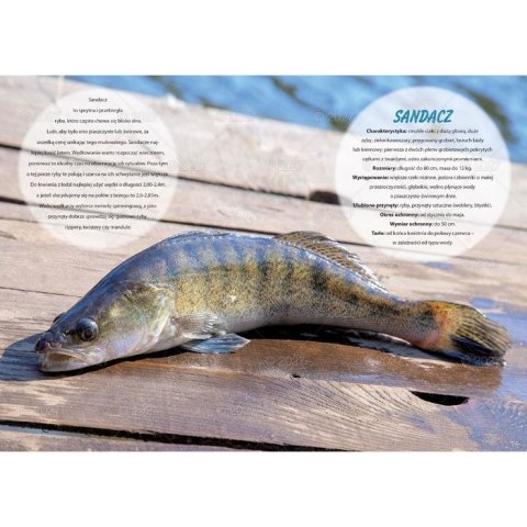 Kalendarz ścienny WĘDKARSKI 13-planszowe 320mm x 470mm Lucrum (RW14)