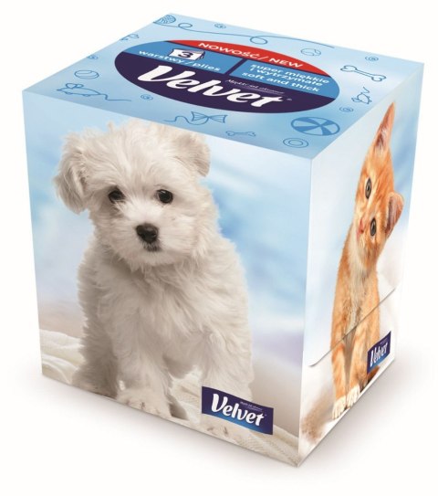 Chusteczki higieniczne Travel Pack A`60 60 szt Velvet