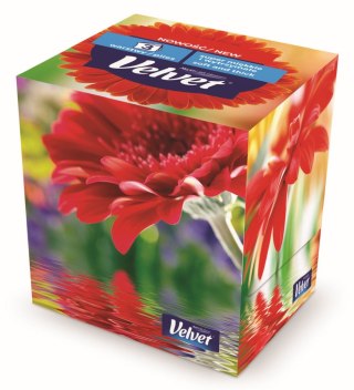 Chusteczki higieniczne Travel Pack A`60 60 szt Velvet