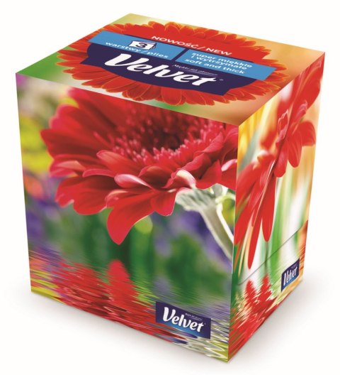 Chusteczki higieniczne Travel Pack A`60 60 szt Velvet