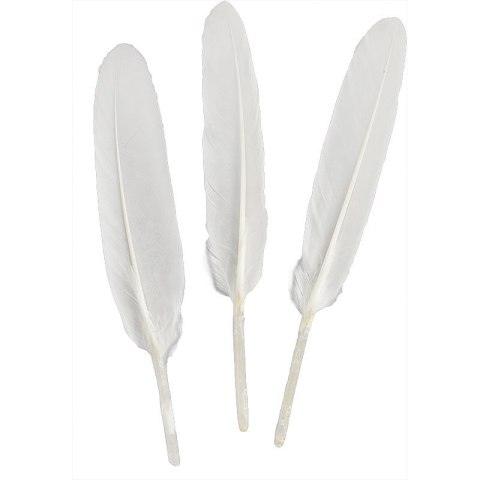 Piórka Craft-Fun Series białe 50 szt Titanum (lotki)