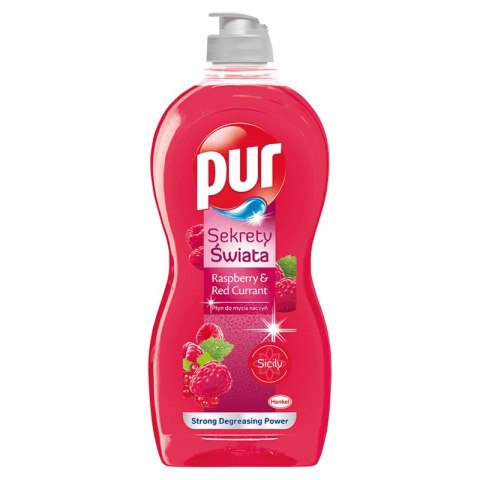 Płyn do naczyń Raspberry & Red Currant 450ml Pur