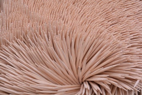 Wykałaczka 100 szt Amaks