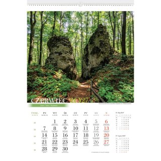 Kalendarz ścienny LASY POLSKIE 13-planszowe A3+ 320mm x 470mm Lucrum (RW06)