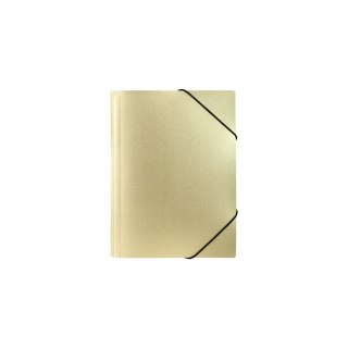 Teczka plastikowa STARDUST GOLD Biurfol (TGSD-A4-01)