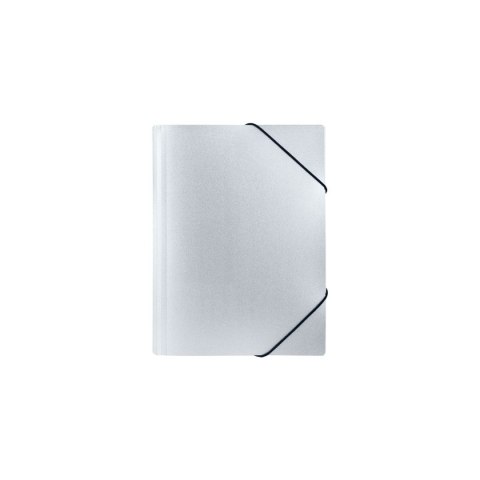 Teczka plastikowa STARDUST SILVER Biurfol (TGSD-A4-02)