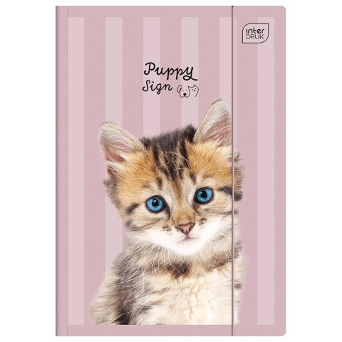 Teczka kartonowa na gumkę UV PUPPY SIGN A4+ mix Interdruk (A4+)