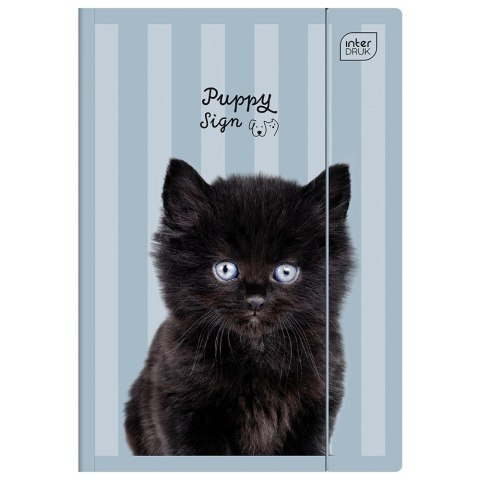 Teczka kartonowa na gumkę UV PUPPY SIGN A4+ mix Interdruk (A4+)