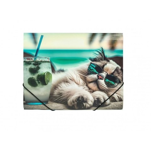 Teczka plastikowa CHILLOUT CAT Panta Plast (0410-0064-54)