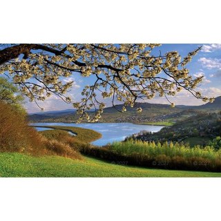 Kalendarz ścienny PANORAMA JEDNODZIELNY 320mm x 560mm Lucrum (KT03)