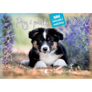 Kalendarz ścienny PSY I PIESKI 13-planszowe 320mm x 470mm Lucrum (RW8)