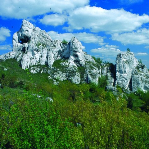 Kalendarz ścienny paskowy 140mm x 420mm Beskidy