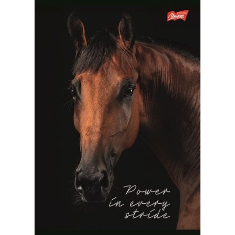 Zeszyt WILD HEART Unipap