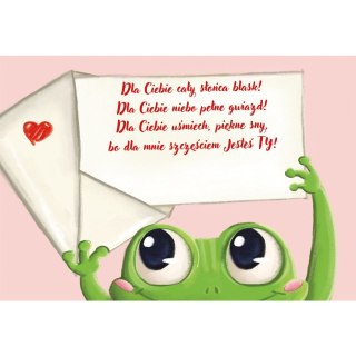 Kartka składana Karnet B6 Walentynki Żabcia B6 Henry (5908451981129)