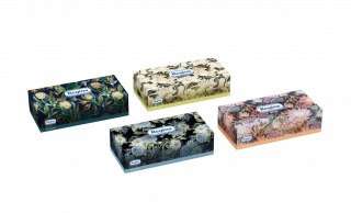 Chusteczki higieniczne 3w uniwersalne 100 szt Regina