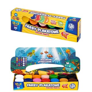 Farby plakatowe kolor: mix 20ml 12 kolor. Astra (301123045)