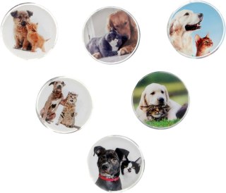 Magnes PIES I KOT okrągły mix śr. 30mm Fun&Joy 6 sztuk