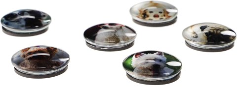 Magnes PIES okrągły mix śr. 30mm Fun&Joy 6 sztuk